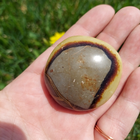 Septarian Nodules Plam Stones Dragon egg - Picture 9 of 11
